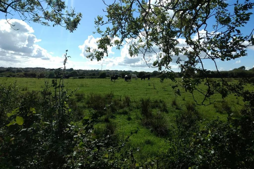 Cattle Shed Cottage ナーバース エクステリア 写真